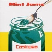 Mint Jams - Casiopea