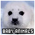 baby animals