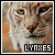 lynxes